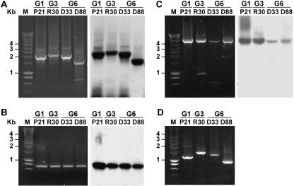 FIG. 4.