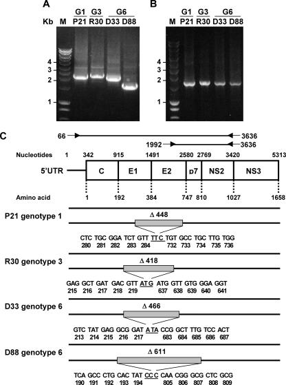 FIG. 2.