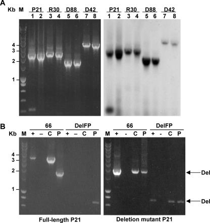 FIG. 5.