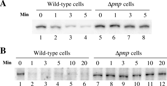 FIG. 7.