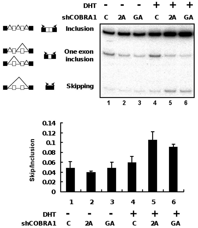 FIGURE 6