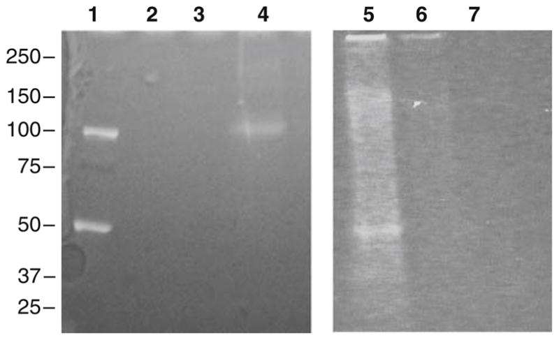 Fig. 15