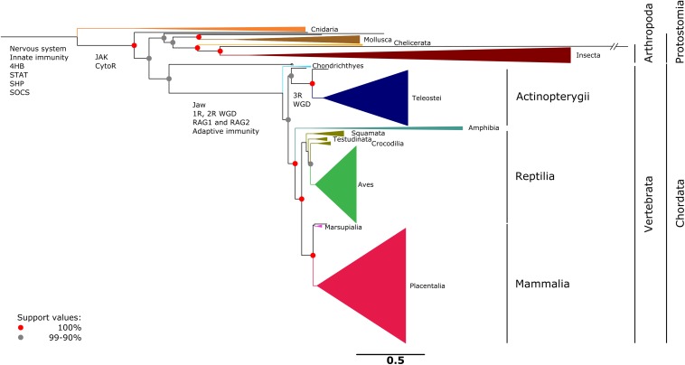 FIGURE 3