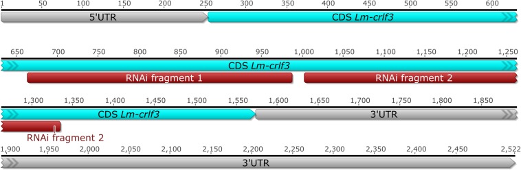 FIGURE 1