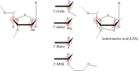 Figure 19