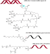 Figure 23