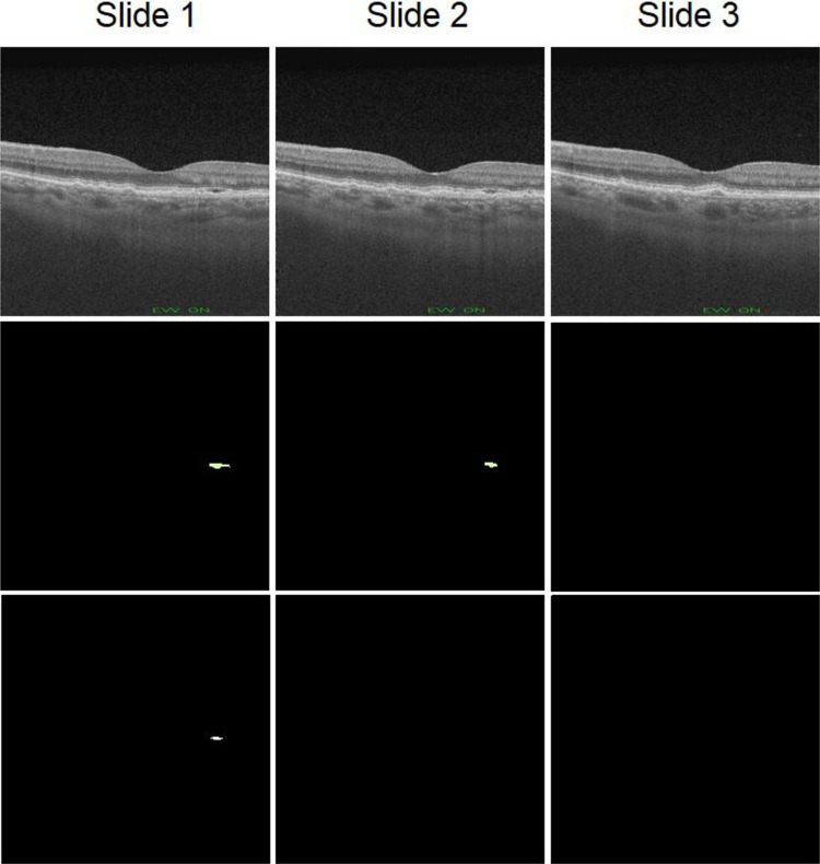 Fig. 8