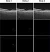 Fig. 8