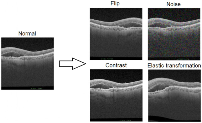 Fig. 5