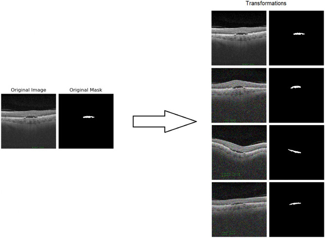 Fig. 6