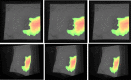 Fig. 10
