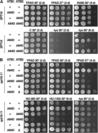 Figure 4 