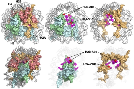 Figure 2 