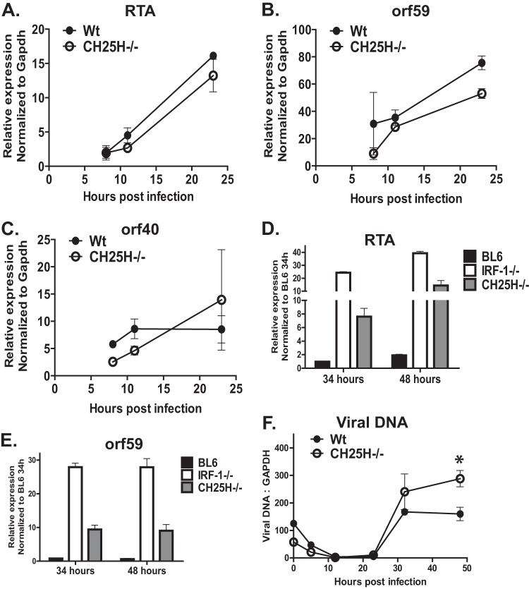 FIG 6