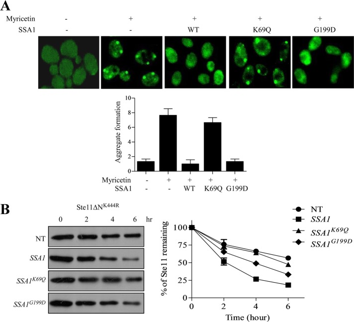 FIGURE 10: