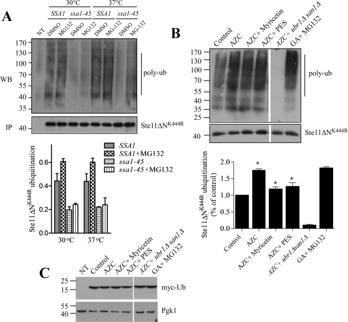 FIGURE 3: