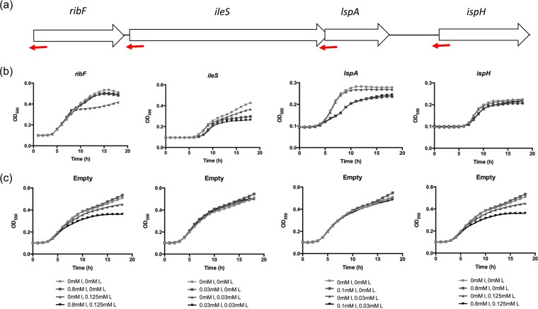 FIG 1