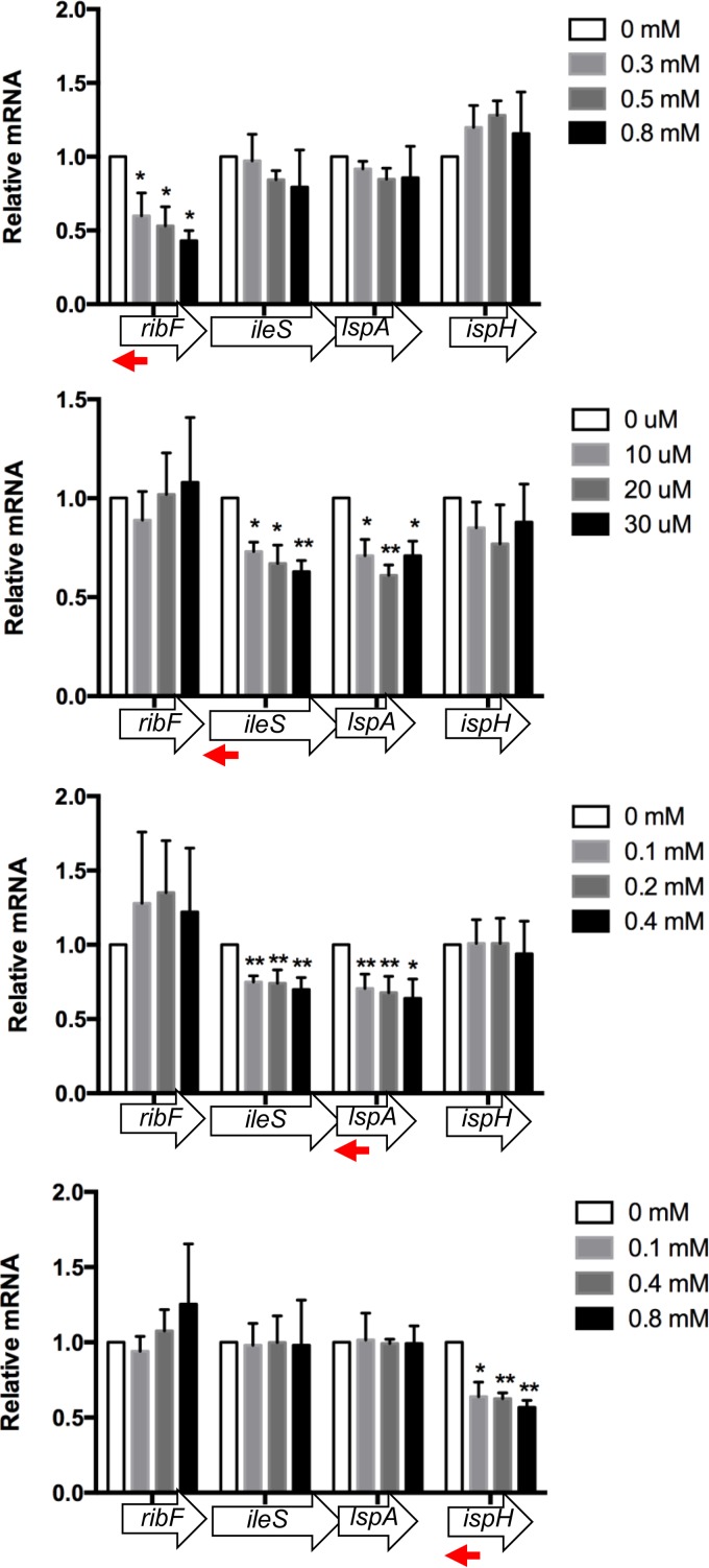 FIG 4