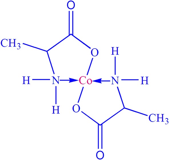 Fig. 1
