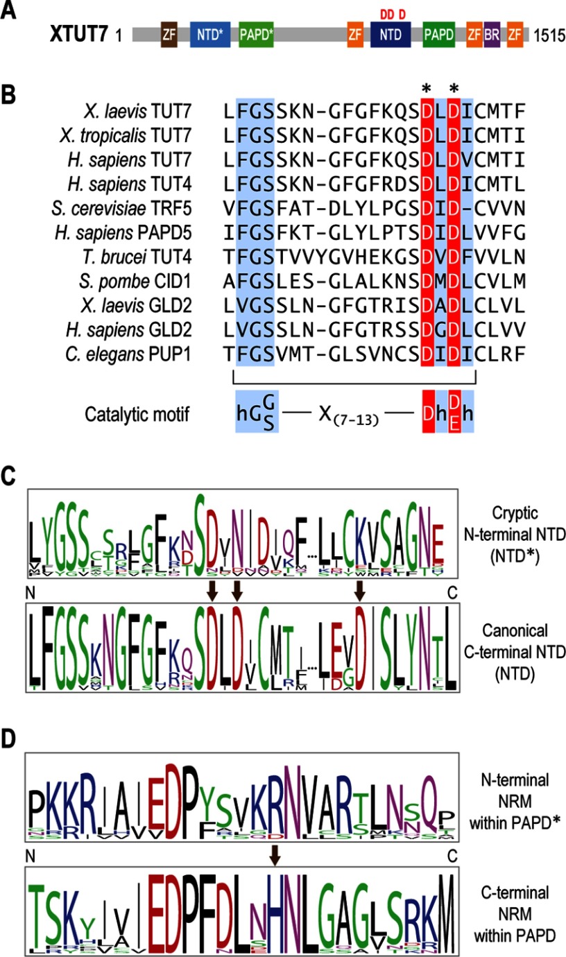 FIGURE 1.