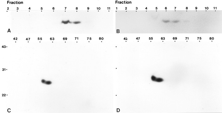 Fig. 12.