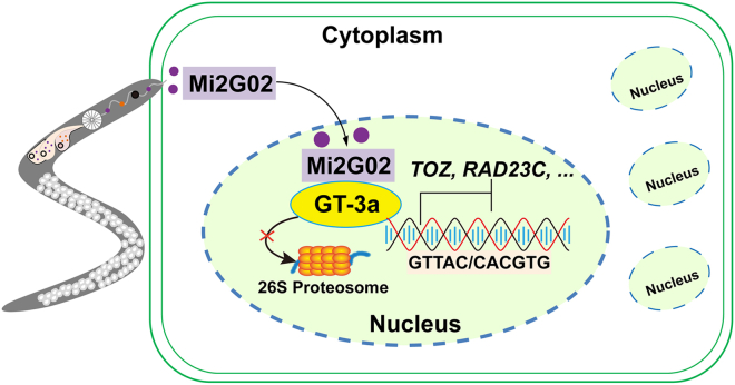 Figure 7