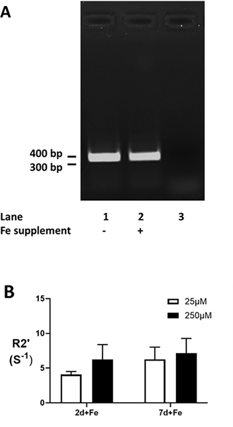 Fig 5