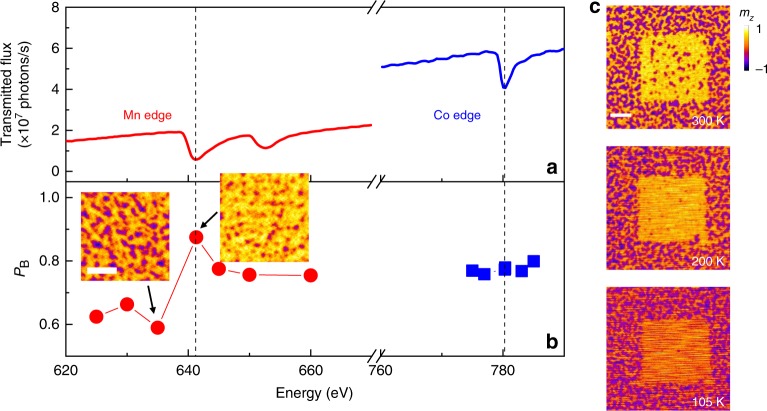 Fig. 2