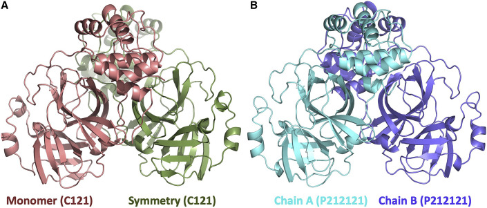 Figure 1