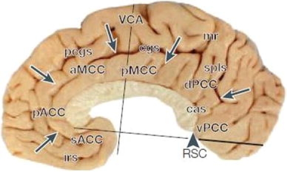 Fig. 1