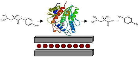 graphic file with name nihms235100u1.jpg