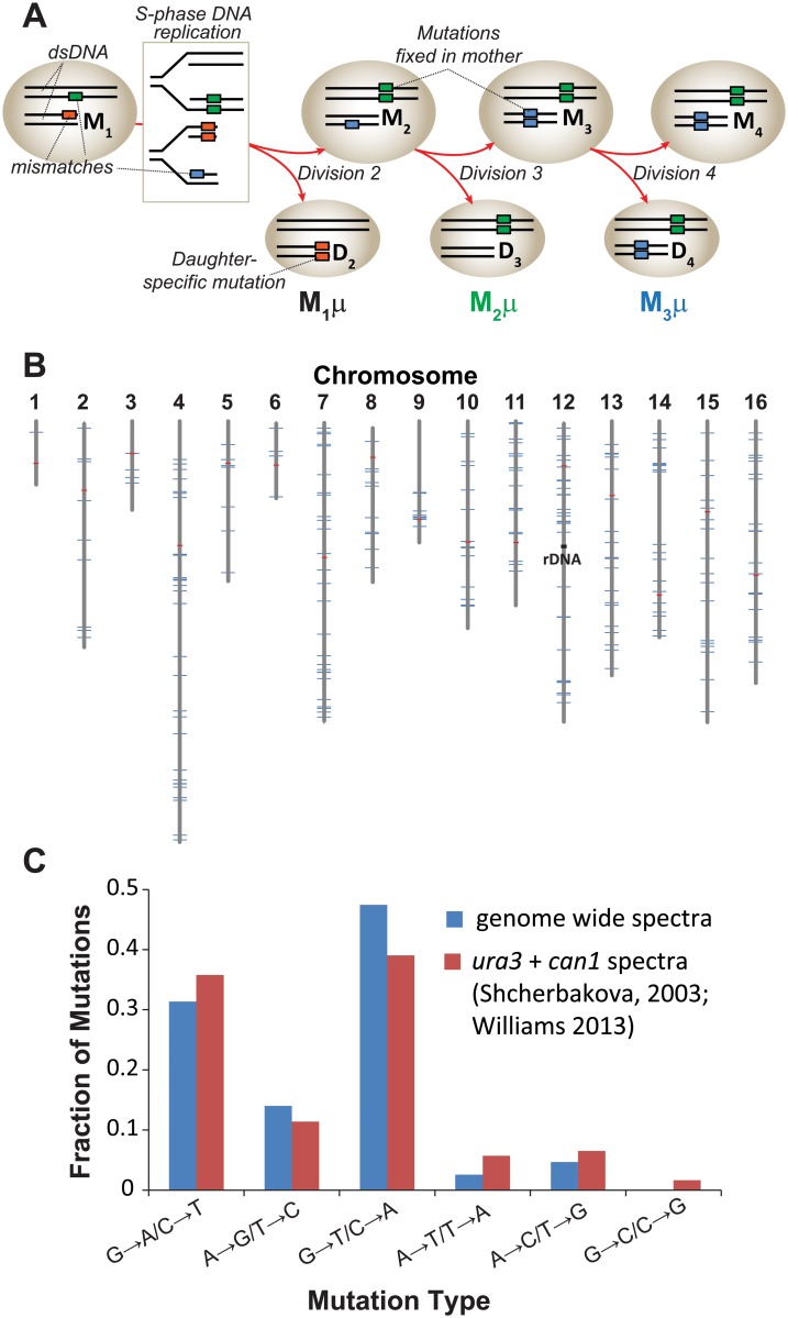 Fig 1