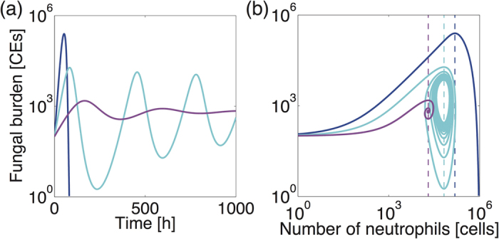 Figure 8