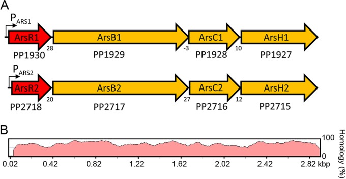 FIG 1