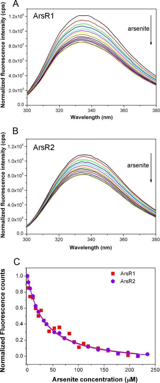 FIG 5