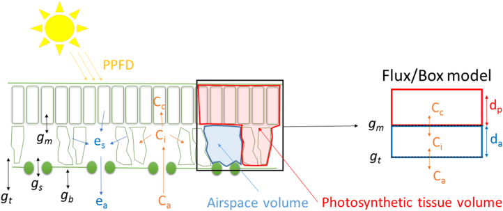 Fig. 1