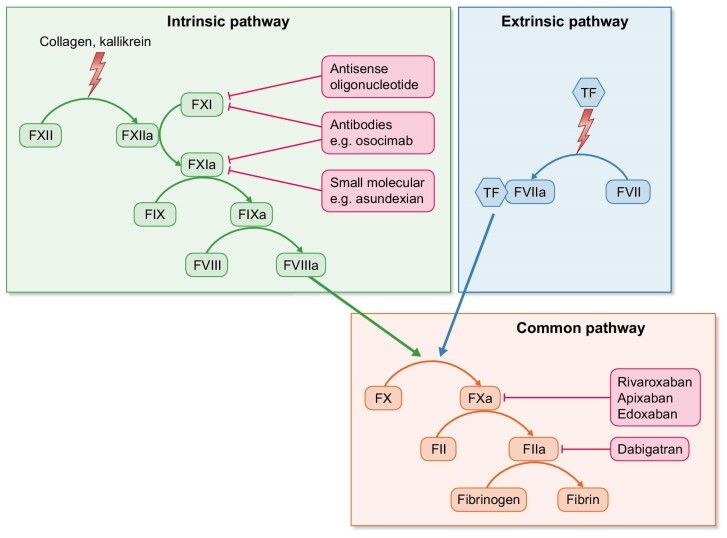 Figure 2: