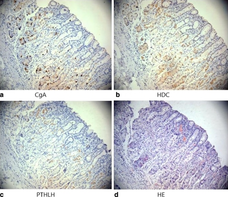 Fig. 2