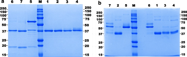 Fig. 3