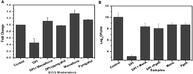 FIGURE 6