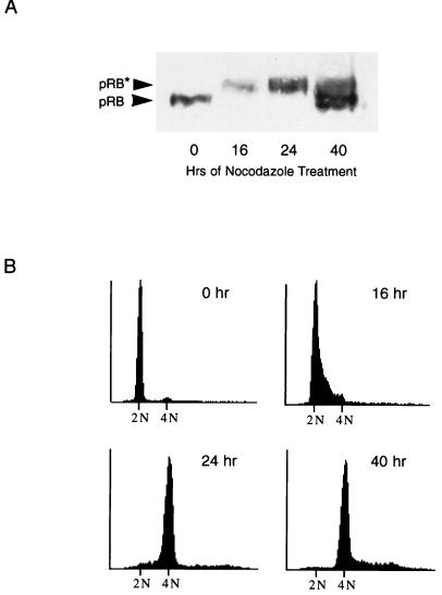 FIG. 7