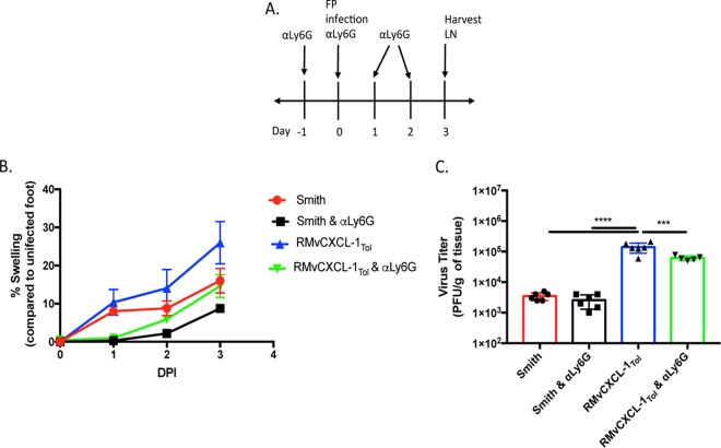 FIG 6