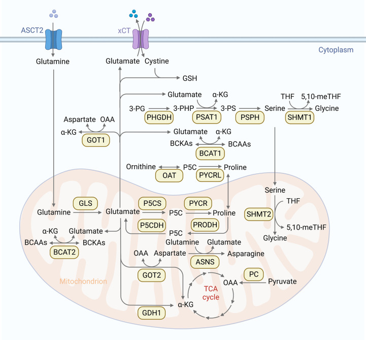 Figure 1