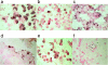 FIG. 2.