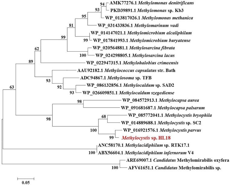 FIGURE 1