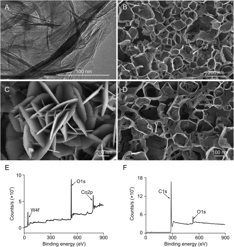 Fig. 3