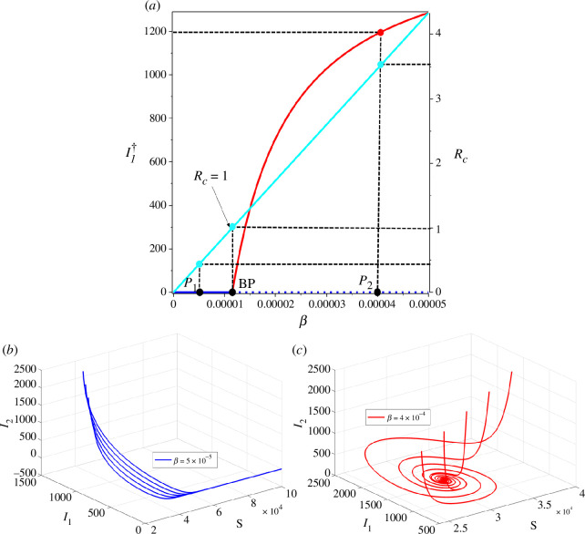 (a) Bifurcation diagram of system (1) represented by and with respect to