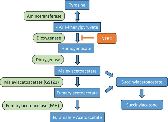 FIGURE 2