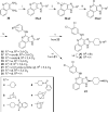 Scheme 2