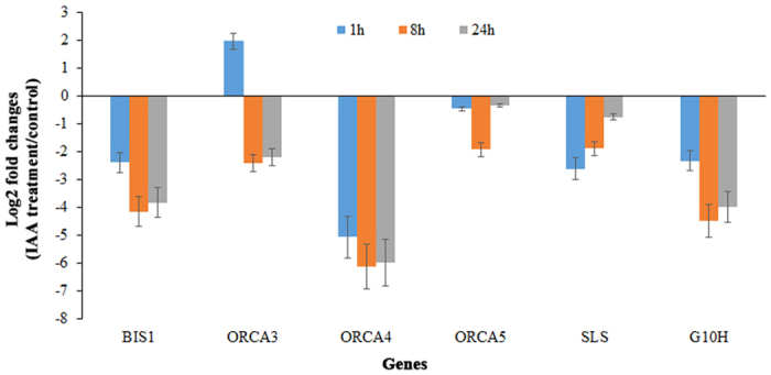 Figure 7